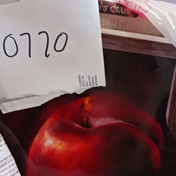 CIC by Jay Mercado Set Of 4 Ceramic Fruit-Themed Square Plates - Picture 6 of 13